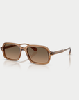 Larell, Carob & Sandstone Gradient