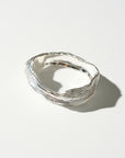 Destiny's Tributaries, Silver