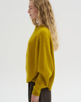 Crew Neck Raglan Sweater, Turmeric