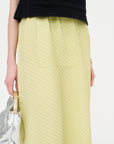 Plaster Pleats Solid Skirt, Light Green