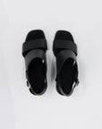 Poppy, Black