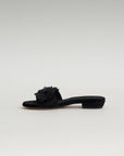 Bluebell, Black