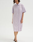 The Anu Shirtdress, Red Stripe
