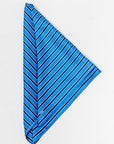 Striped Silk Scarf, Blue & Navy