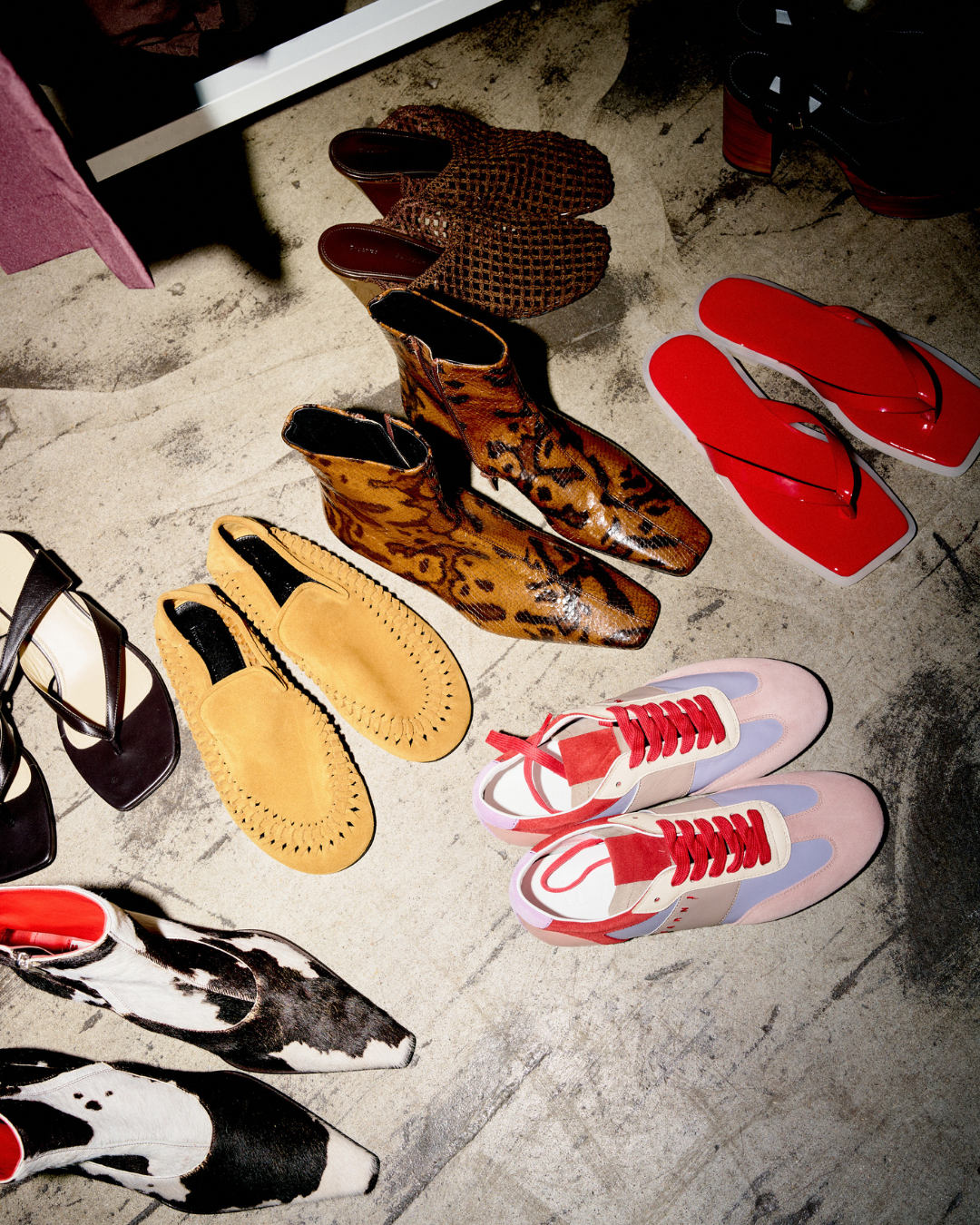 Collection Image