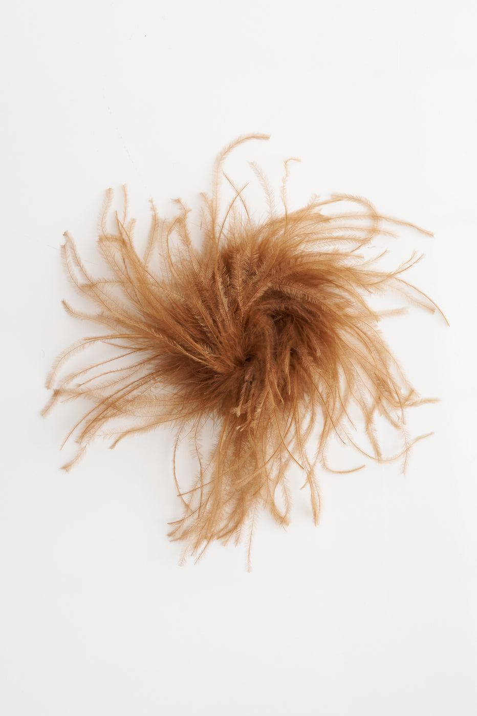 Feather Brooch – Kick Pleat