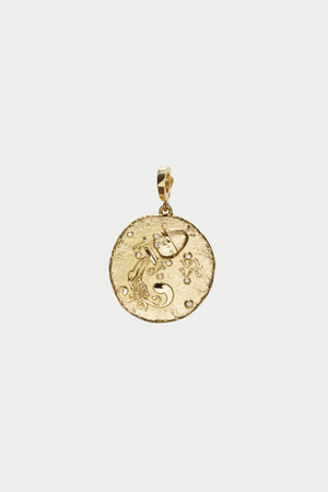 Of The Stars Aquarius Large Coin Charm, Yellow Gold