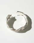 Destiny's Tributaries, Silver