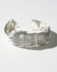 Destiny's Tributaries, Silver