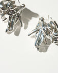 "Notsobig" General Strike, Silver