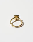 Into the Wild Classic Ring, Yellow Gold