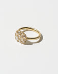 Into the Wild Classic Horizontal Ring, Yellow Gold