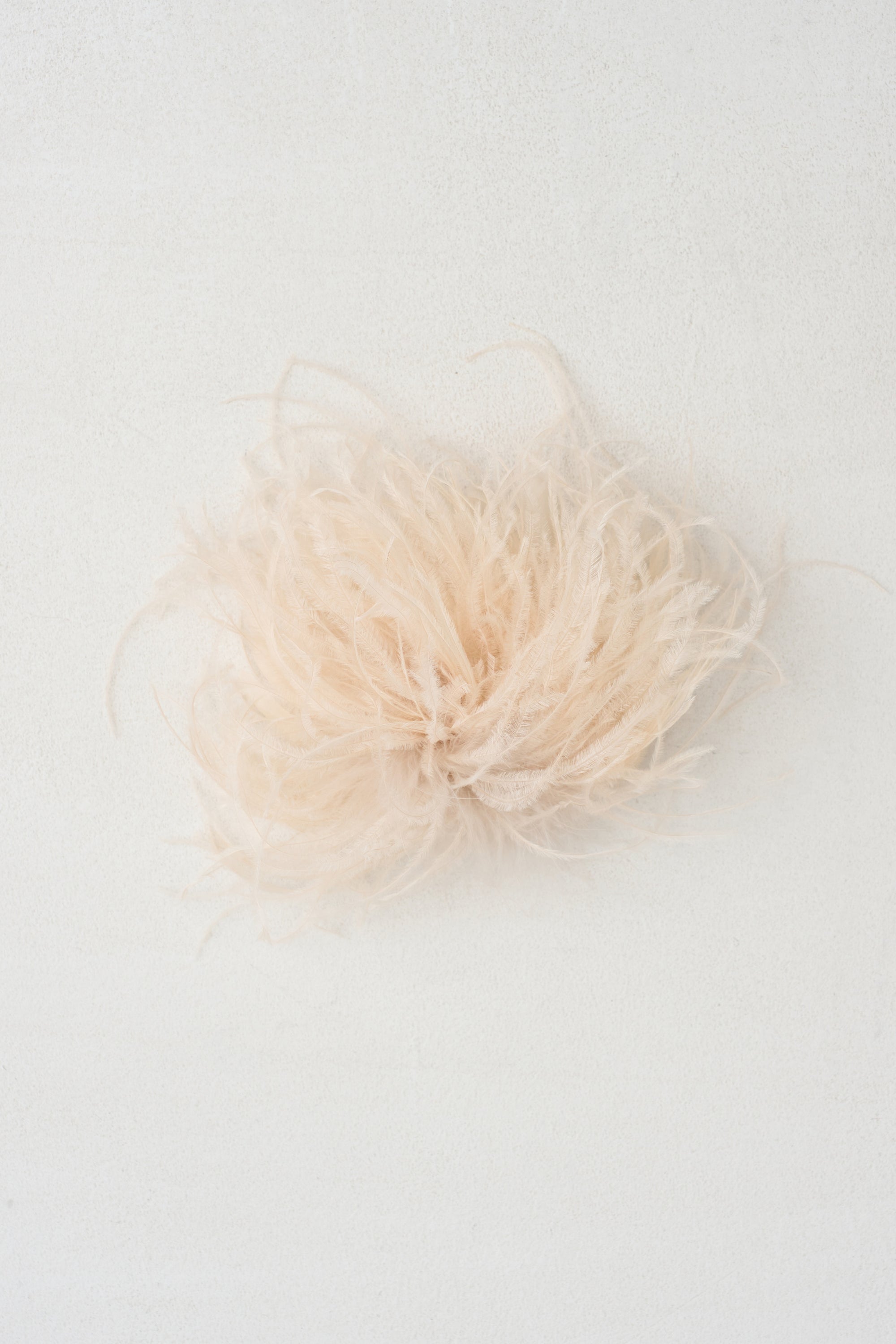 Meryl - Ostrich Feather Brooch