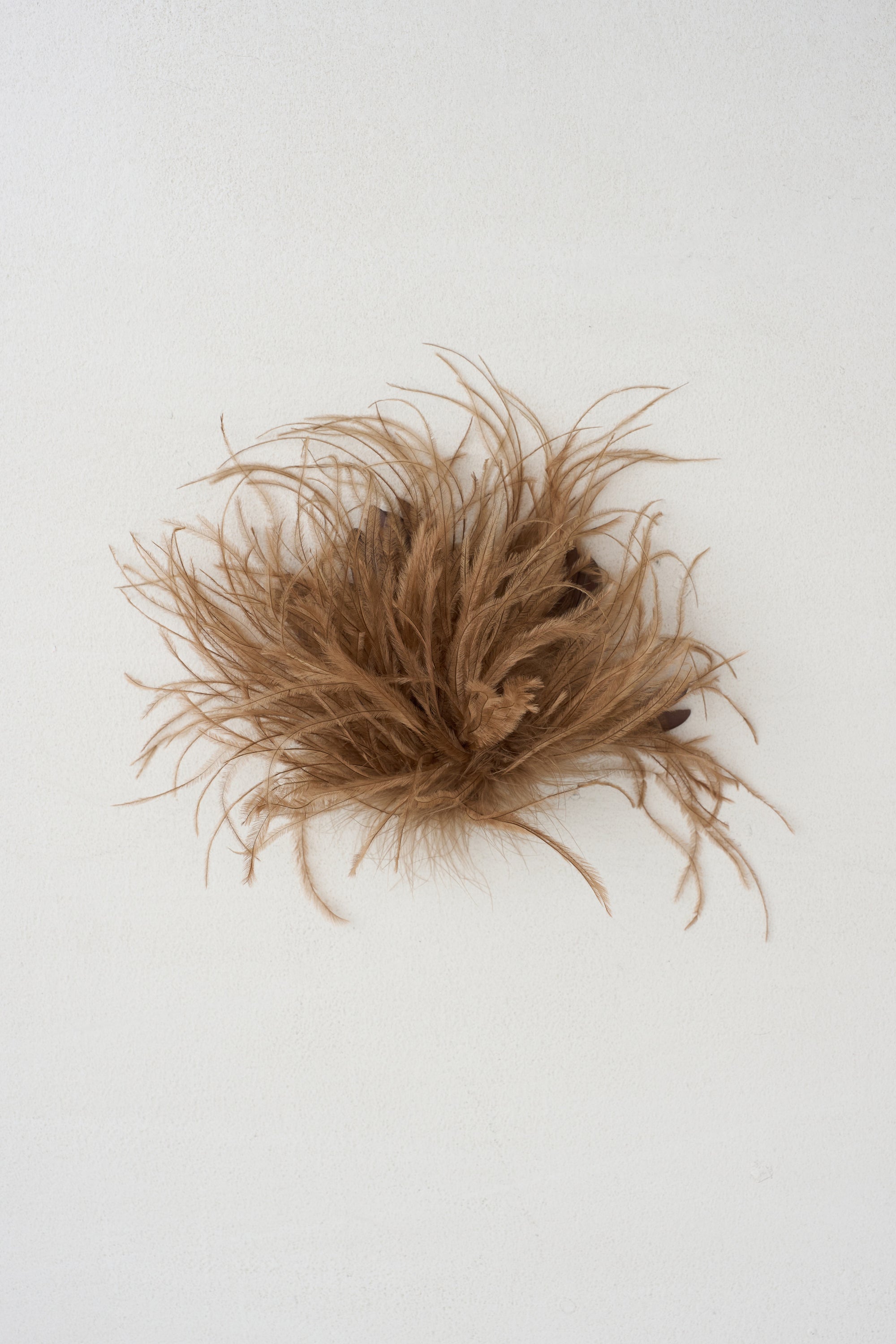 Meryl - Ostrich Feather Brooch