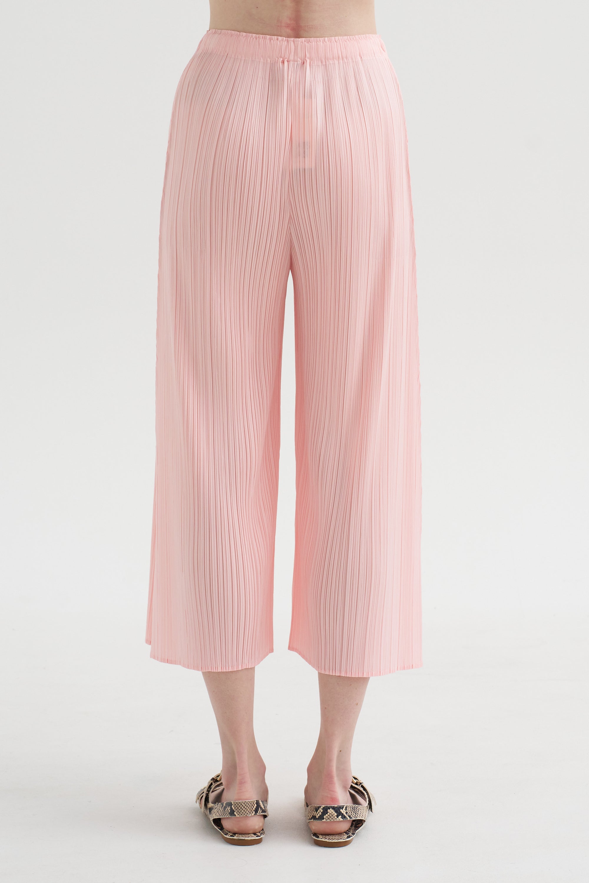 Monthly Colors : March, Light Pink