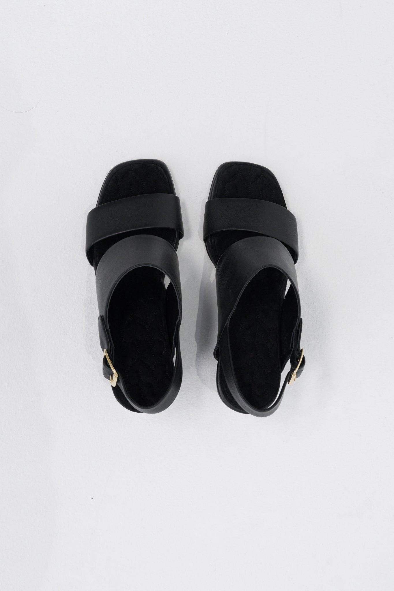 Poppy, Black