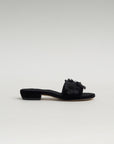 Bluebell, Black