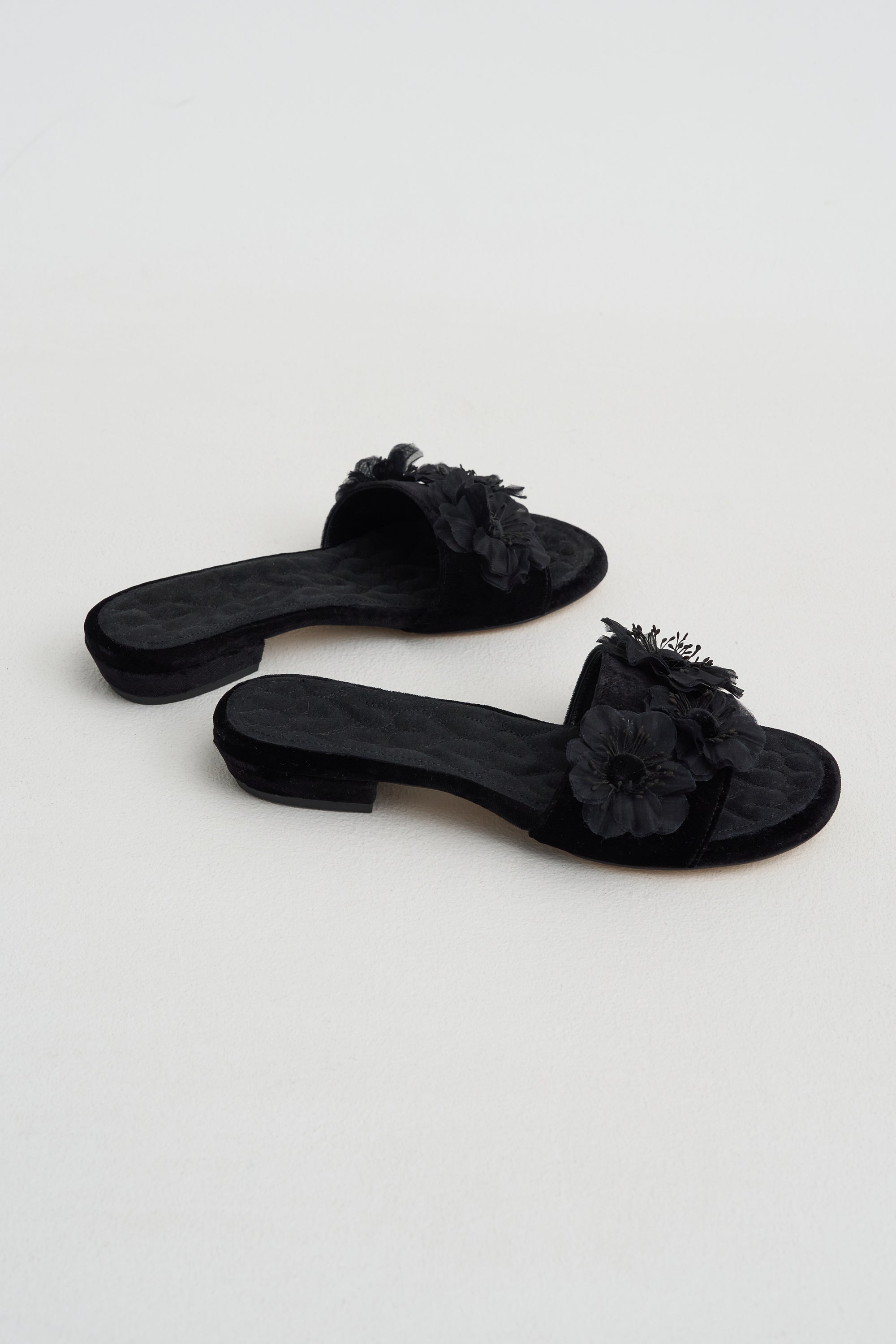 Bluebell, Black