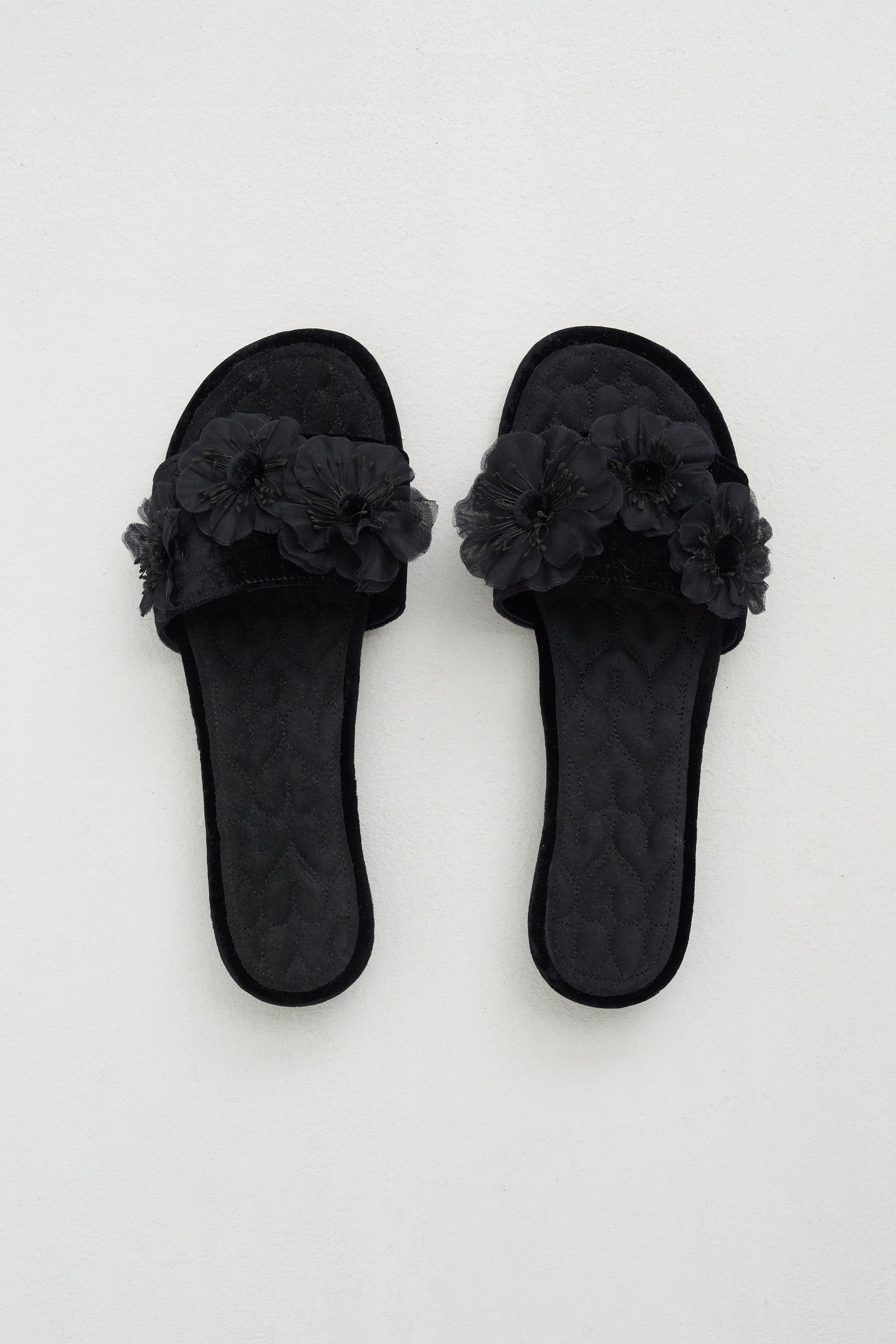 Bluebell, Black