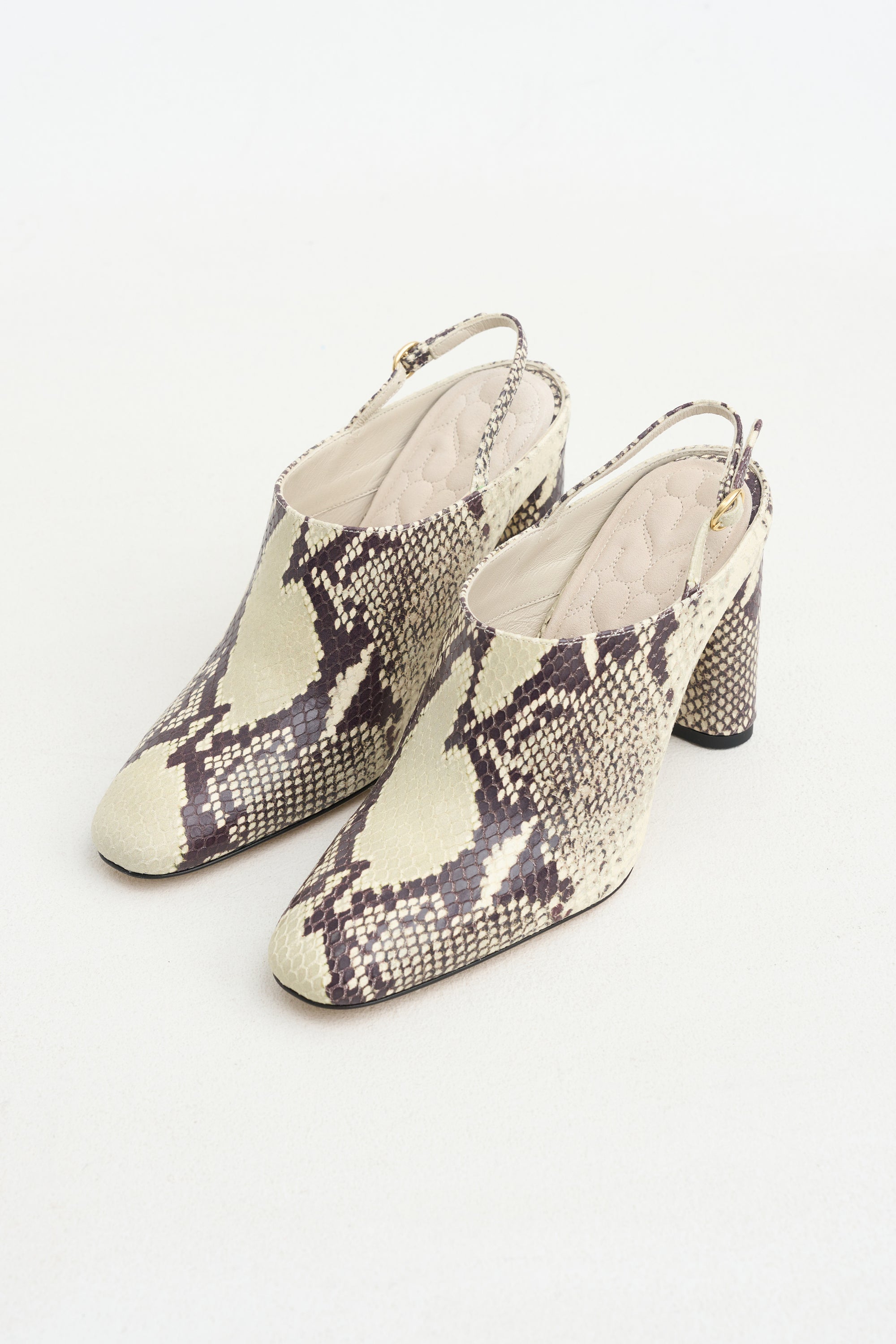 Beatriz Mule, Ivory