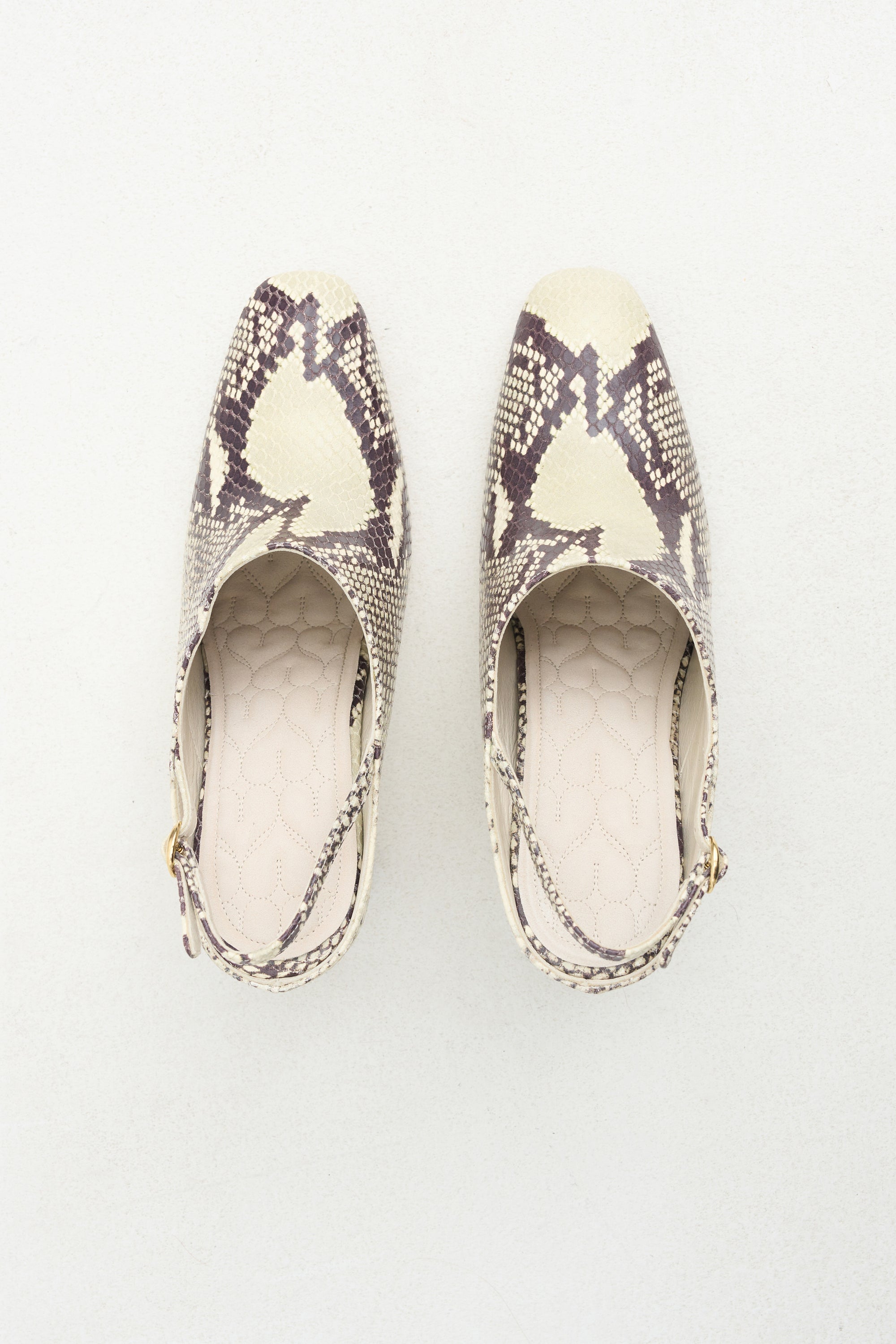 Beatriz Mule, Ivory