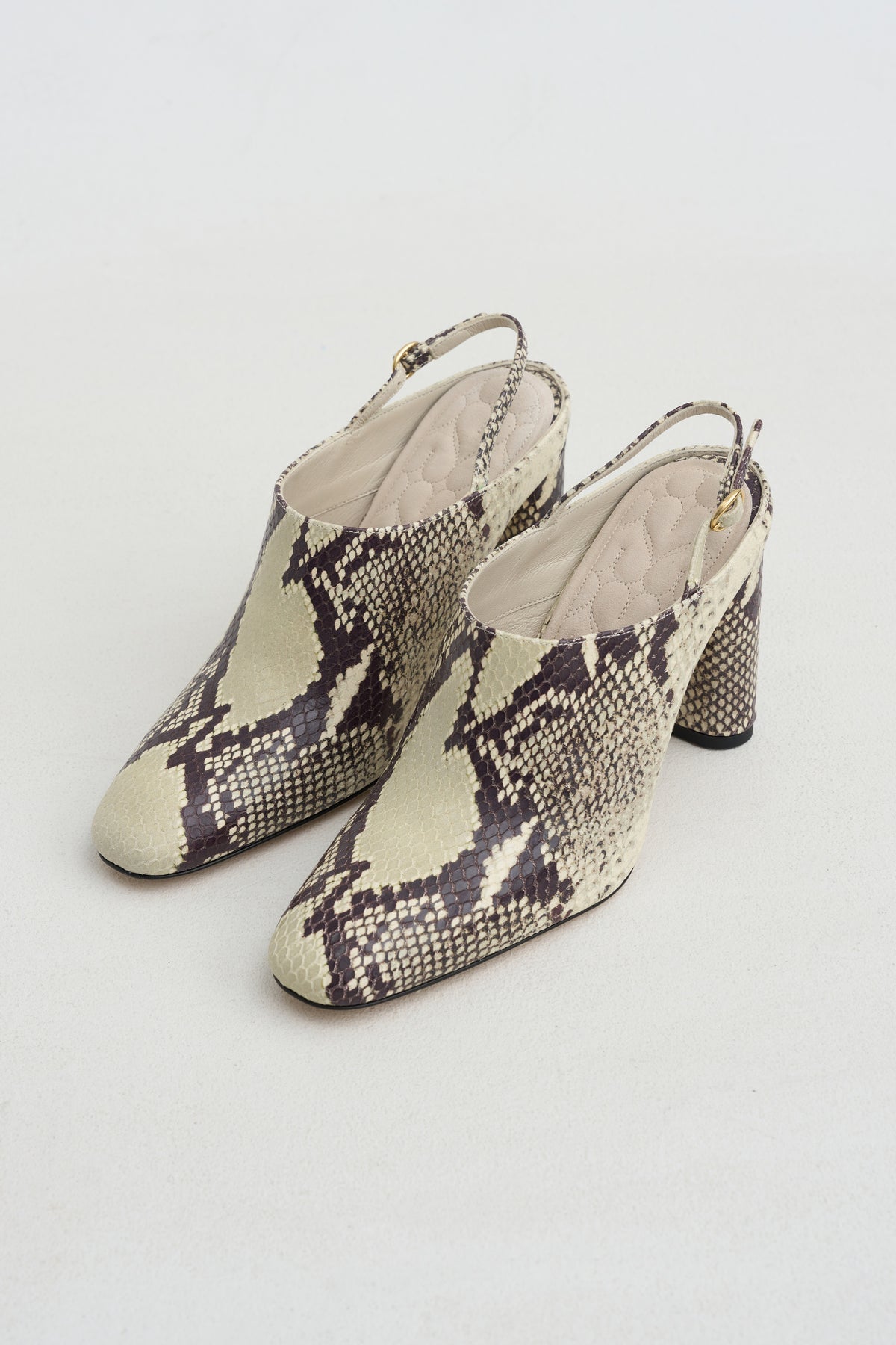Beatriz Mule, Ivory