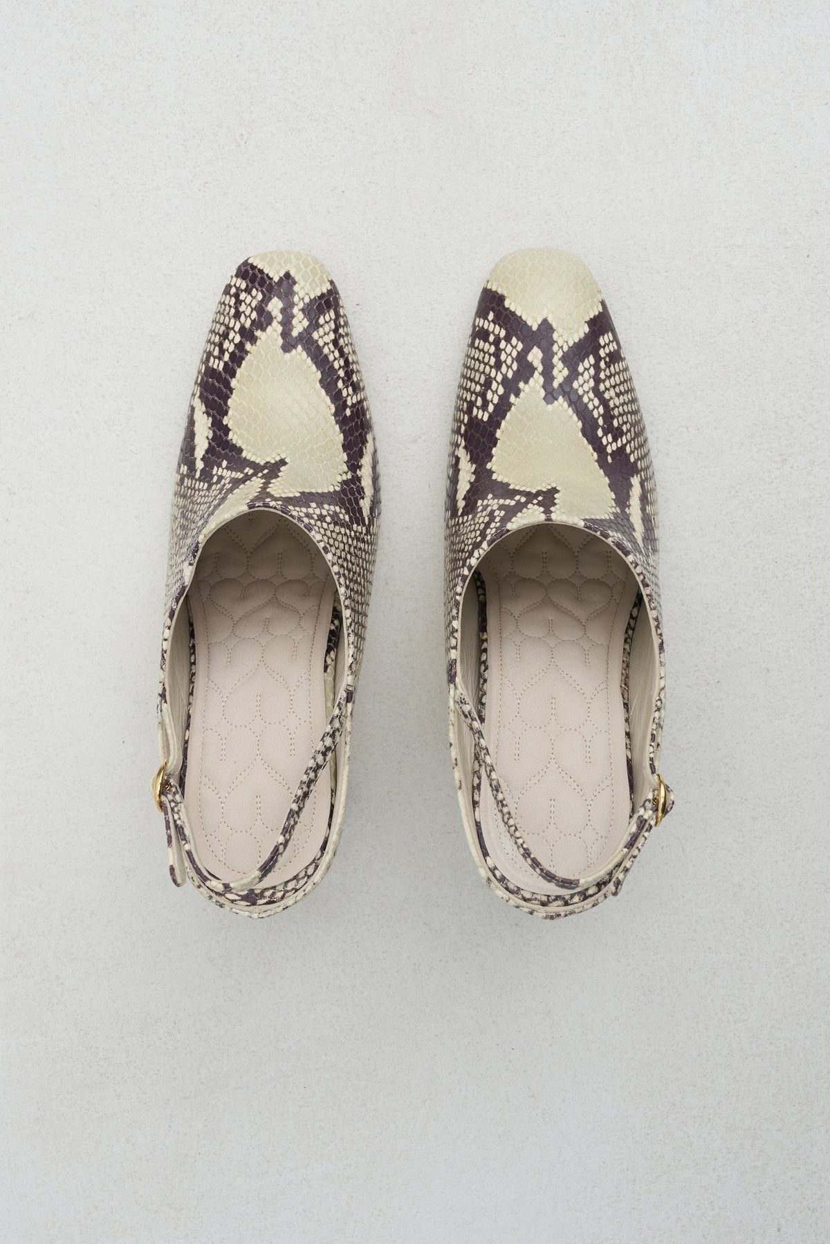 Beatriz Mule, Ivory