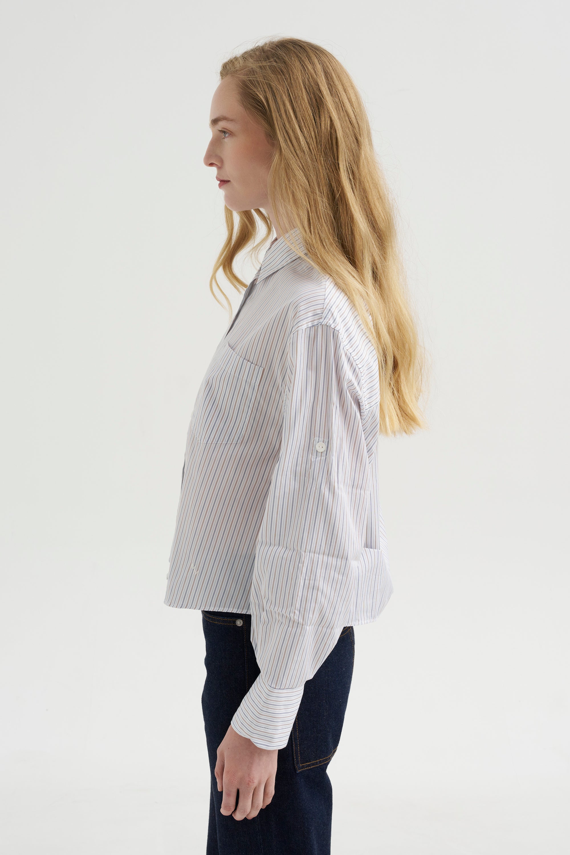 Button Sleeve Crop Shirt, White / Blue / Brown Stripe
