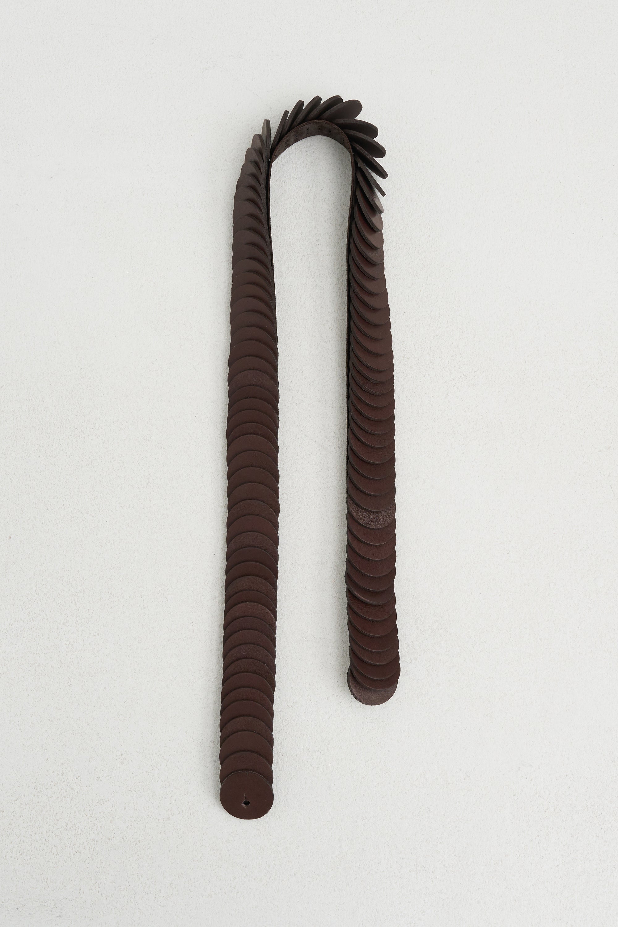 Disc Belt, Cacao