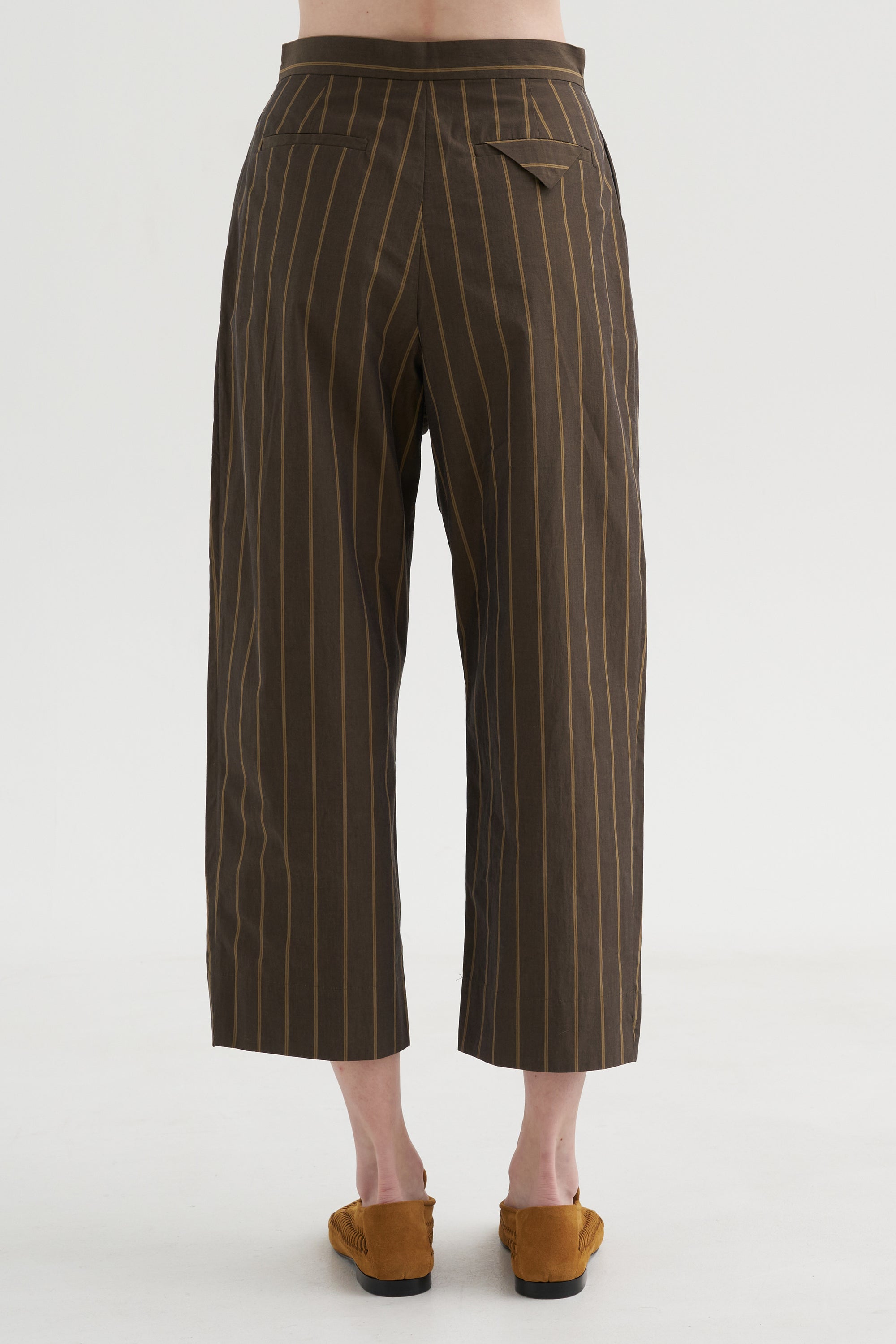 Babar Pant, Brown