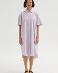 The Anu Shirtdress, Red Stripe