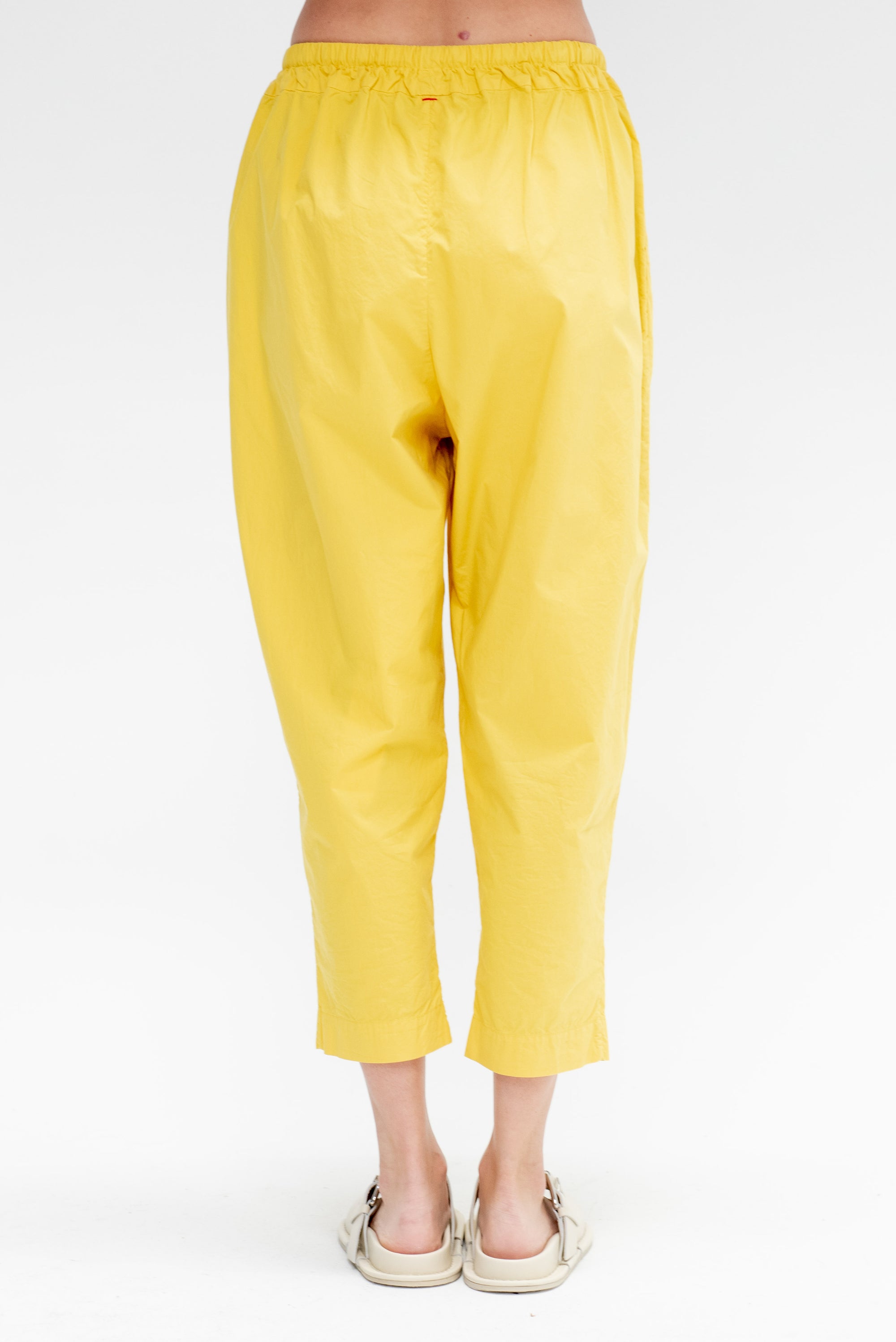 Tippy Pant, MImosa
