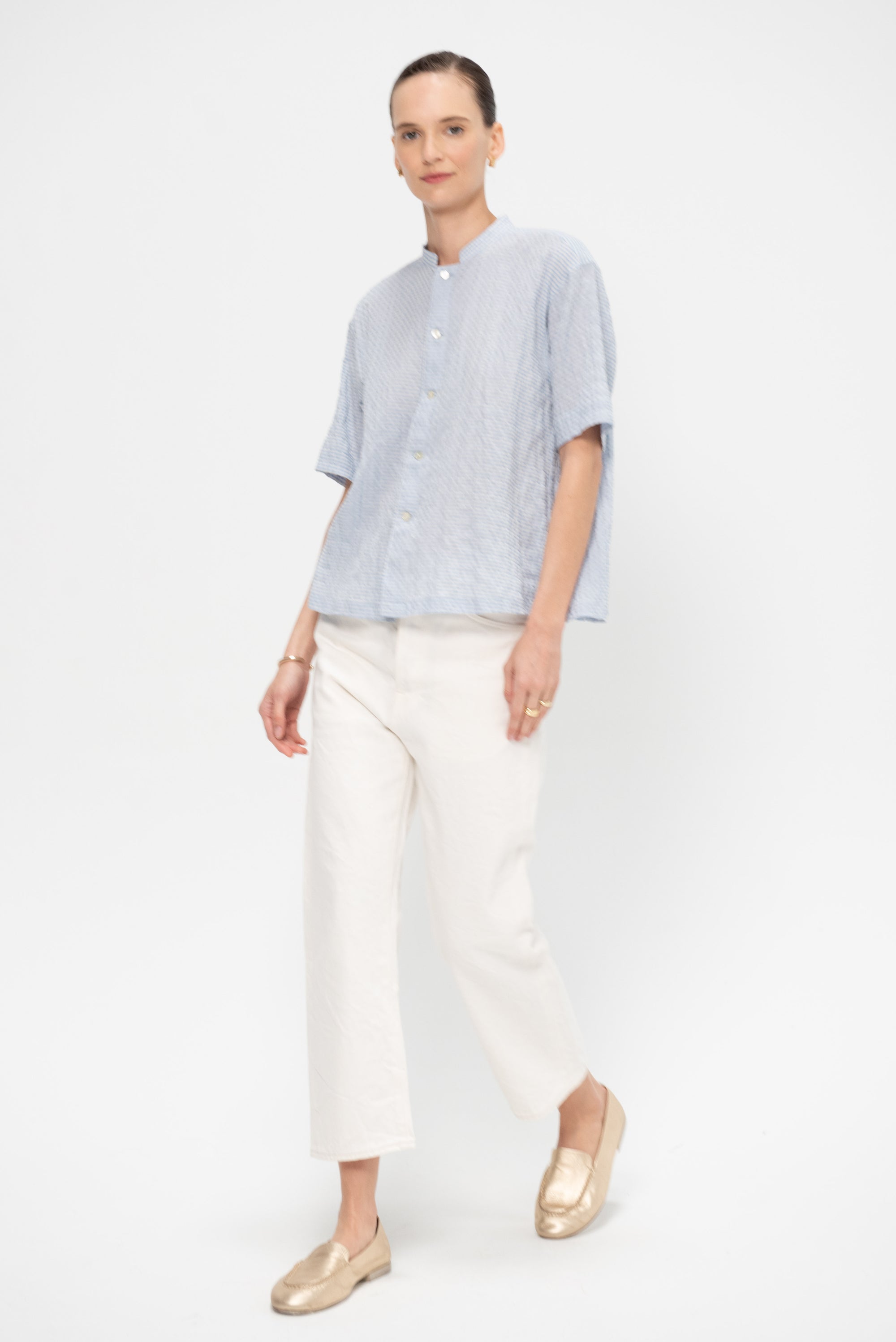 Stand Collar Plaid Blouse, Blue