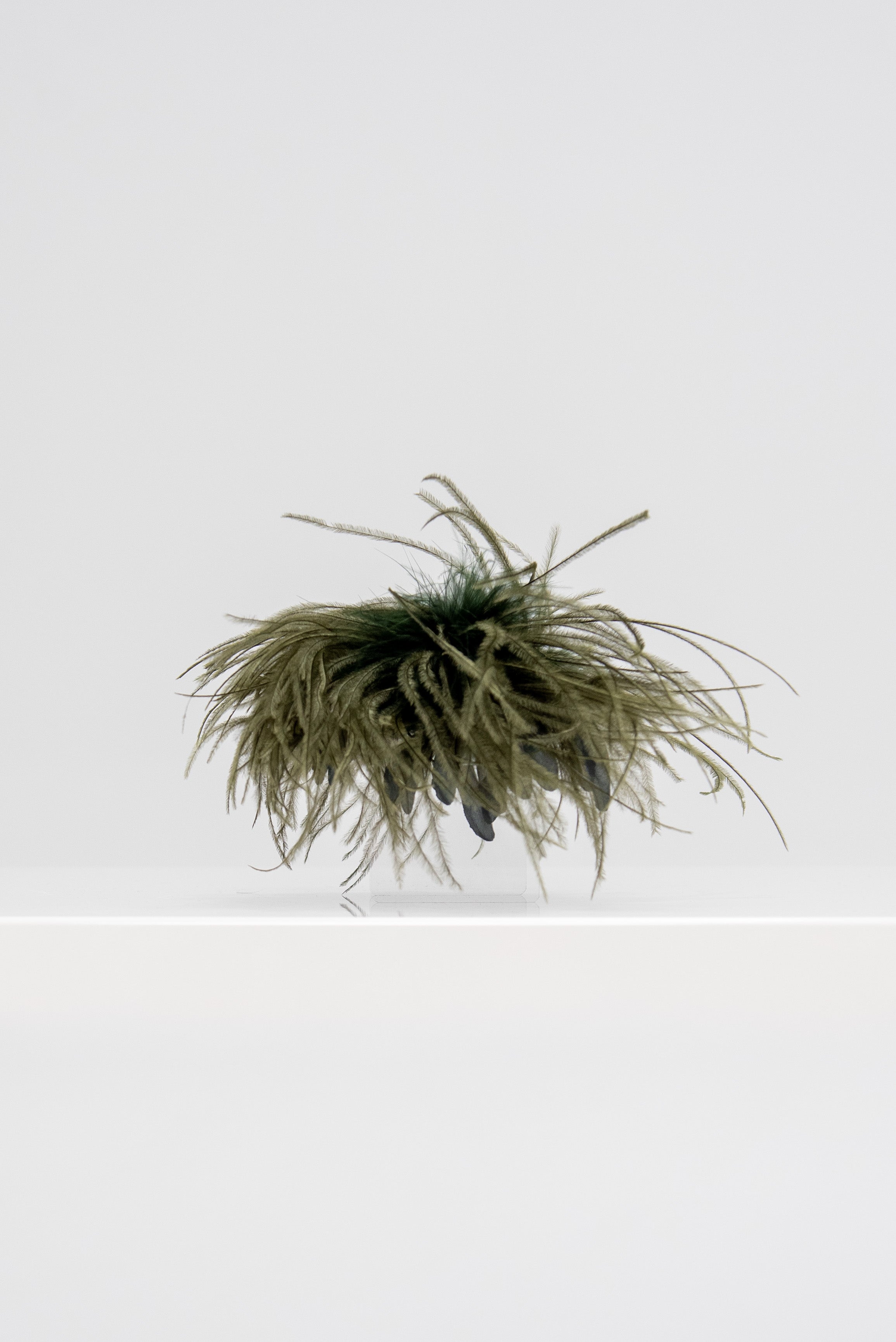 Indress Meryl - Ostrich Feather Brooch – Kick Pleat