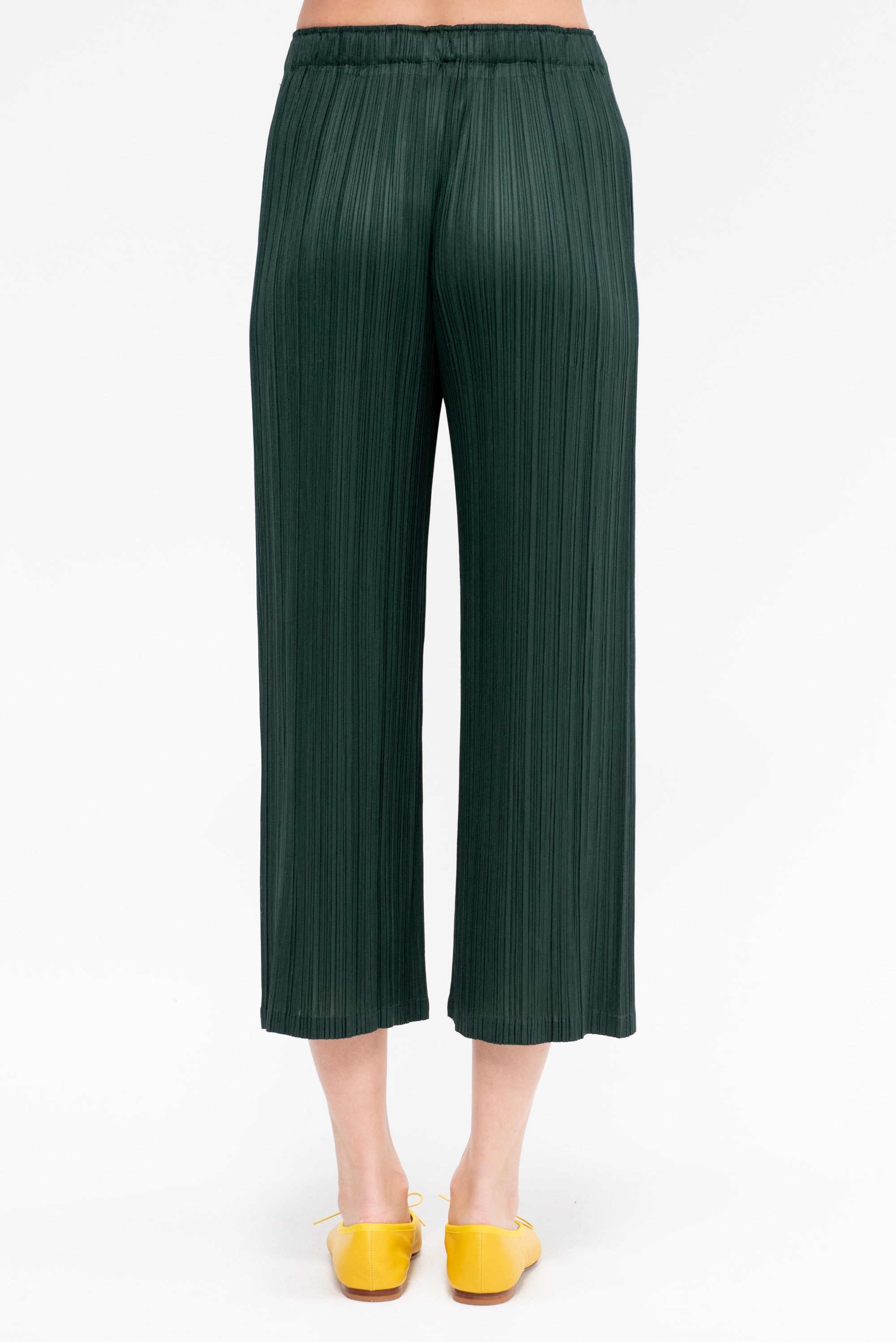 Monthly Colors : December, Forest Green