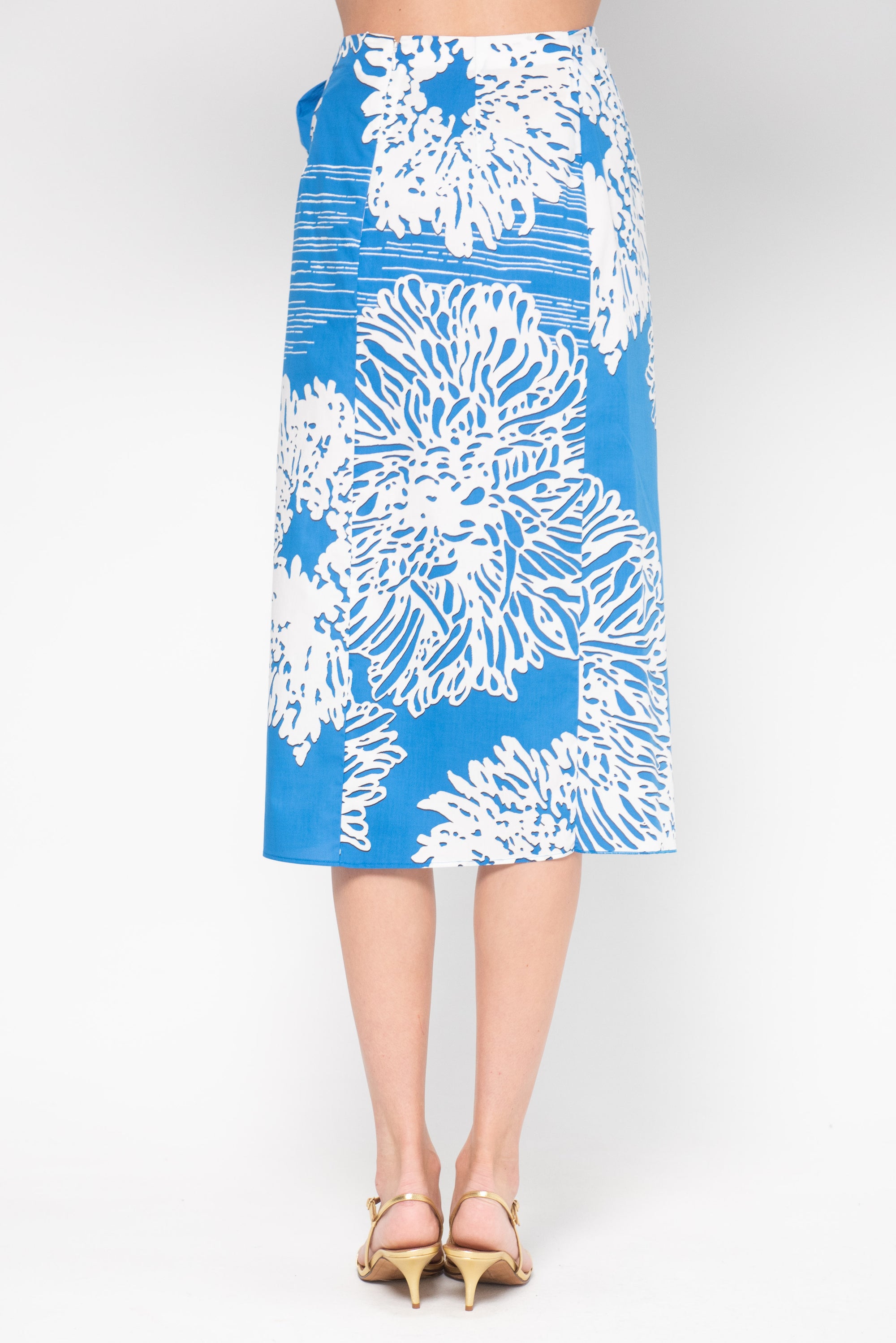 Skirt, Blue &amp; White