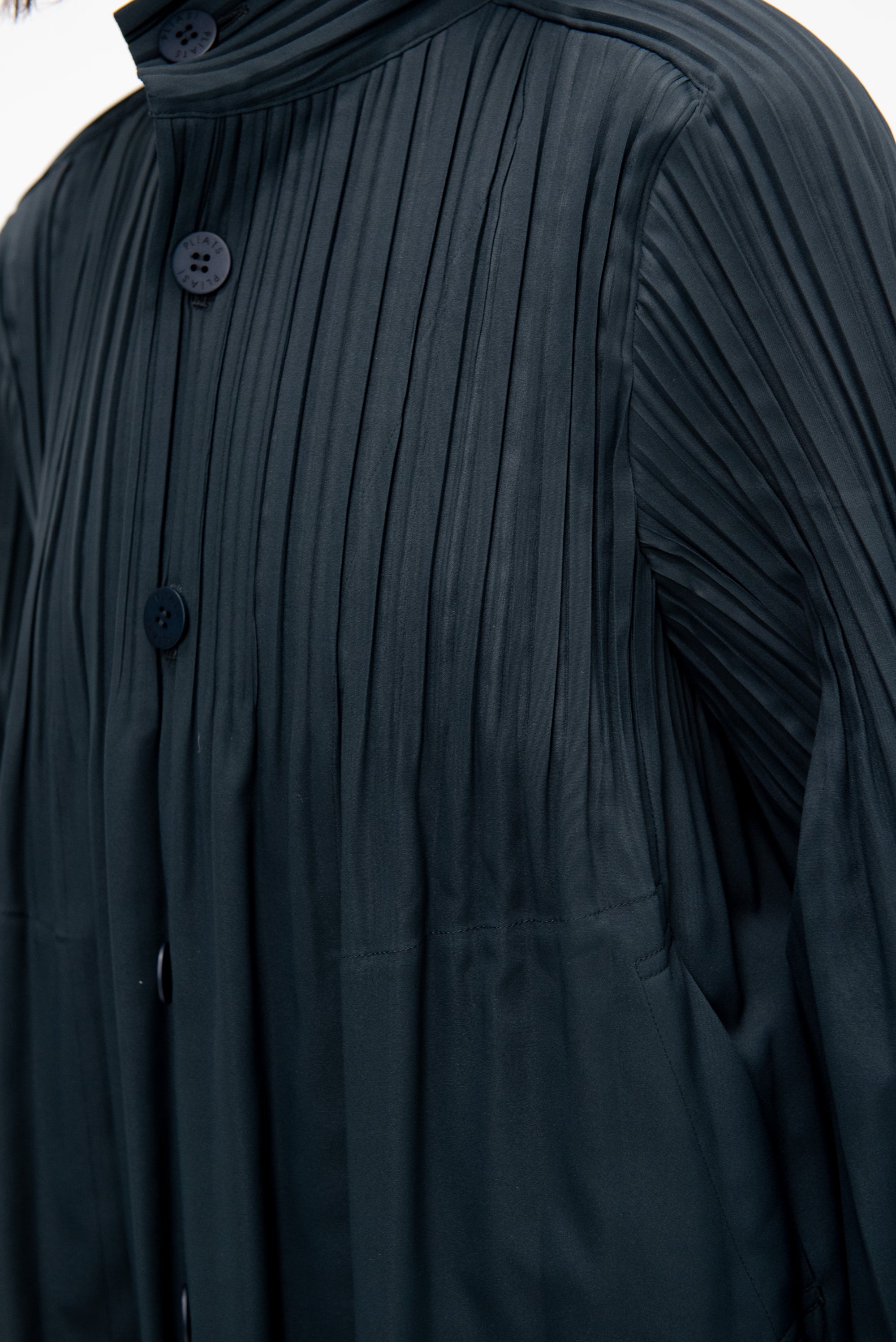 Smooth Coat, Charcoal